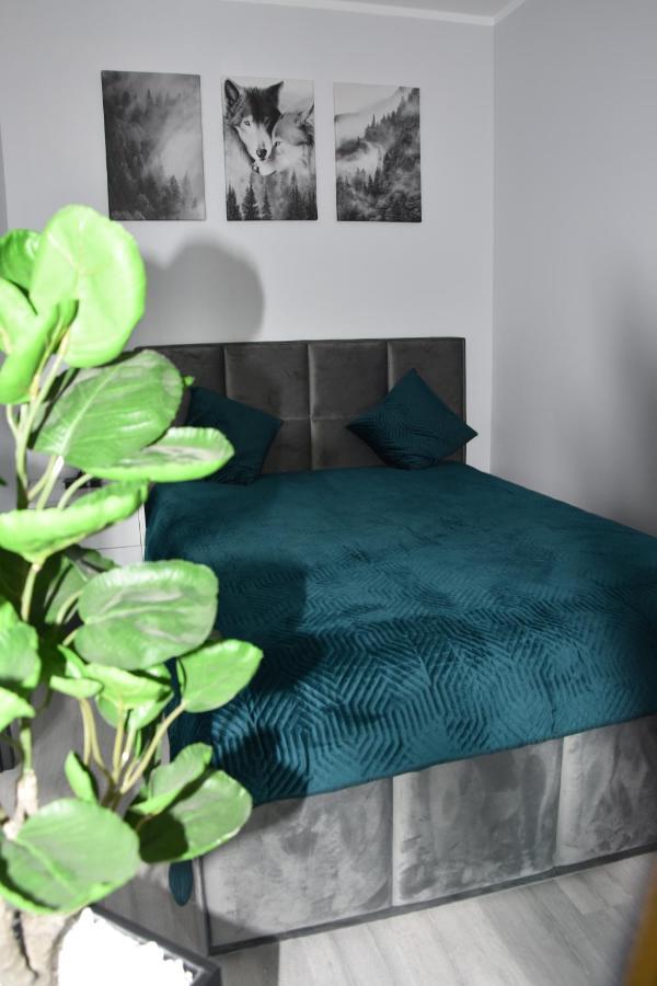 Apartament B13 Green Park Resort Szklarska Poręba Esterno foto